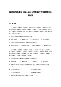 陕西省丹凤中学2024-2025学年高三下学期四模地理试题（含答案解析）