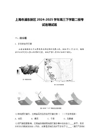 上海市浦东新区2024-2025学年高三下学期二模考试地理试题（含答案解析）