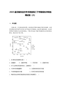2025届河南省名校学术联盟高三下学期模拟冲刺地理试题（六）（含答案解析）