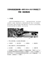 天津市武清区杨村第一中学2024-2025学年高三下学期一模地理试题（含答案解析）