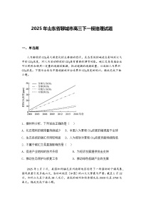 2025年山东省聊城市高三下一模地理试题（含答案解析）