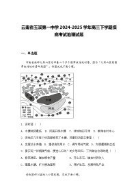 云南省玉溪第一中学2024-2025学年高三下学期摸底考试地理试题（含答案解析）
