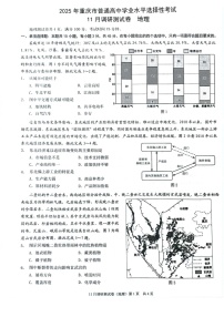 2025届重庆市康德卷高三下学期11月调研-地理试卷（含答案）