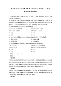 湖北省武汉市部分重点中学2024-2025学年高二上学期期中联考地理试题（解析版）