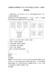河南省周口市鹿邑县2024-2025学年高三上学期11月期中地理试题（解析版）