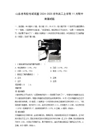 山东省名校考试联盟2024-2025学年高二上学期11月期中地理试卷（解析版）