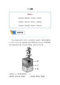 人教版 (2019)必修 第一册土壤课后复习题