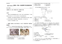 湖南省长沙市望城区第一中学2025-2026学年高一上学期11月期中考试地理试卷
