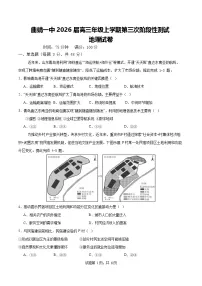 云南省曲靖市第一中学2025-2026学年高三上学期11月期中考试地理试卷