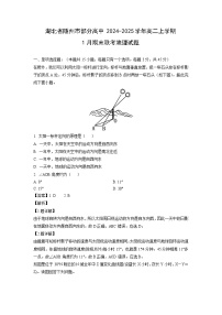 湖北省随州市部分高中2024-2025学年高二上学期1月期末联考地理试卷（解析版）