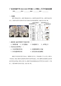广东省实验中学2024-2025学年高三上学期11月月考地理试题