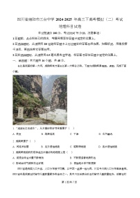 四川省绵阳市三台中学2025届高三下学期模拟考试（二）地理试题（Word版附解析）