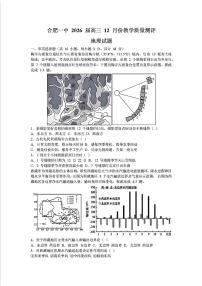 2025-2026学年合肥一中高三上学期12月考试地理试题及答案