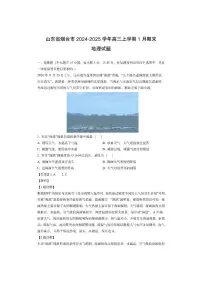 山东省烟台市2024-2025学年高三上学期1月期末 （解析版）地理试卷