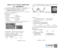 天津市滨海新区2024-2025学年高一上学期期末考试地理试题