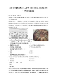 2024-2025学年云南省大理白族自治州大理市高二上学期1月期末地理试卷（解析版）