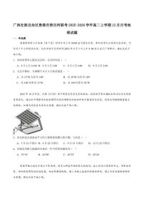 2025-2026学年广西贵百河高二上学期12月新高考月考测试地理试卷（含答案）