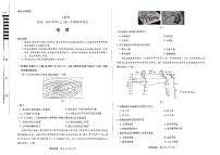 河南省天一大联考2024—2025 学年高一年级上学期期中考试地理试题（无答案）