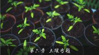 6.1 土壤专题（课件）- 高考地理一轮复习讲练测