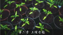 6.1 土壤专题(课件)- 高考地理一轮复习讲练测