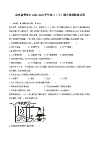 山东省青岛市2025-2026学年高三（上）期末模拟地理试卷