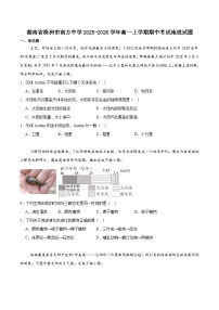 湖南省株洲市南方中学2025-2026学年高一上学期期中考试地理试卷（含答案）