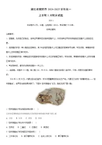 2024-2025学年湖北省襄阳市高一上学期1月期末 地理试卷（学生版）