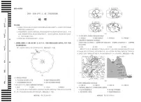 河南省2025—2026学年（上）高三阶段性检测地理试卷（含答案）