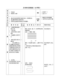 高中体育人教版 (2019)全一册第八章 球类运动第一节 足球教案