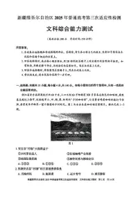 新疆维吾尔自治区2025届高三下学期三模文综试卷（PDF版附解析）