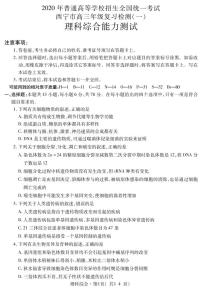 青海省西宁市2020届高三统一考试复习检测一（一模）理科综合试题含答案