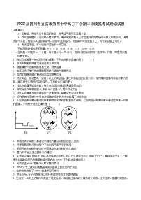 2022届四川省宜宾市第四中学高三下学期二诊模拟考试理综试题