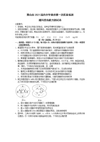 安徽省黄山市2021届高三第一次质量检测理综试题 Word版含答案