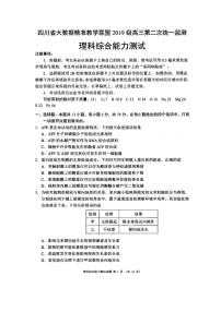 四川省大数据精准教学联盟2019级高三第二次统一监测  理科综合试题及答案