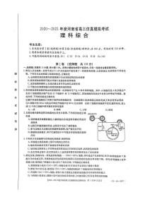 2021届河南省高三下学期5月仿真模拟考试理综试题 PDF版