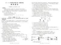 2024届河南省新乡市高三第一次模拟考试理科综合试题