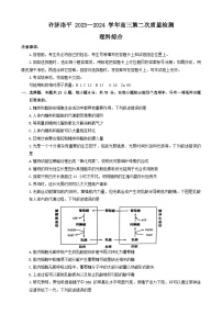 河南省许平洛济四市2023-2024学年高三上学期第二次质量检测理综试题（Word版附答案）