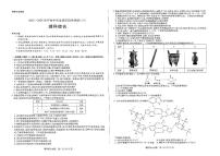 2024届天一大联考高中毕业班阶段性测试(六)高三理综试题+答案