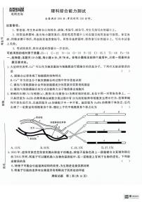 2024河南省青桐鸣高三下学期3月大联考试题理综PDF版无答案