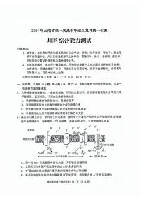 2024届云南省高三下学期第一次高中毕业生复习统一检测理综试卷