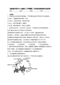 河南省开封市2024届高三下学期第二次质量检测理综生物试卷(含答案)