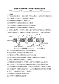 云南省2024届高考高三下学期一模理综生物试卷(含答案)