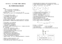 2024届宁夏回族自治区石嘴山市平罗中学高三下学期三模理综试题