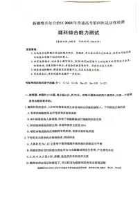 2025届新疆维吾尔自治区高三下学期第四次适应性检测理科综合能力测试试卷（高考模拟）