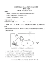新疆维吾尔自治区2026届高三上学期2月适应性检测理综试题（Word版附答案）