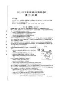 河南省2021届高三下学期5月仿真模拟考试理综试题+答案