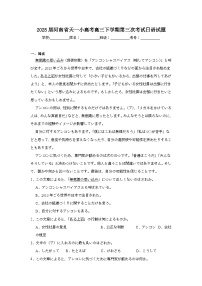 2025届河南省天一小高考高三下学期第三次考试日语试题（附答案解析）