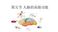 生物选择性必修1第2章 神经调节第5节 人脑的高级功能评课课件ppt