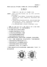 广东省珠海市2021年高三学业质量监测（二模）生物试题及答案