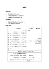 北师大版 (2019)必修1《分子与细胞》第三节 细胞核教案